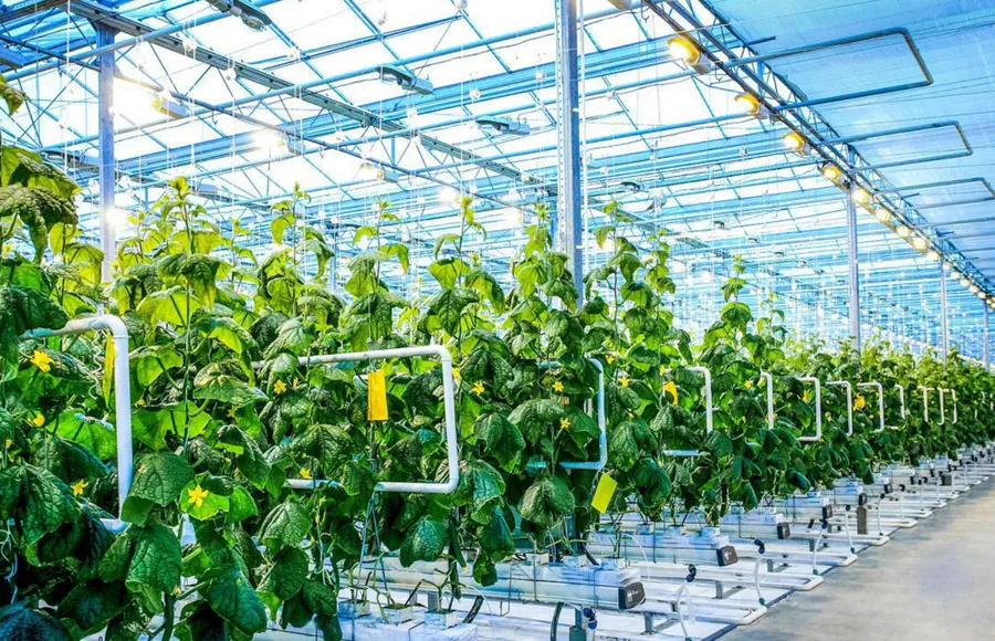 A Coordenação de Medidores de Vazão com Armários de Controle Quantitativo e Registradores de Dados na Irrigação Agrícola